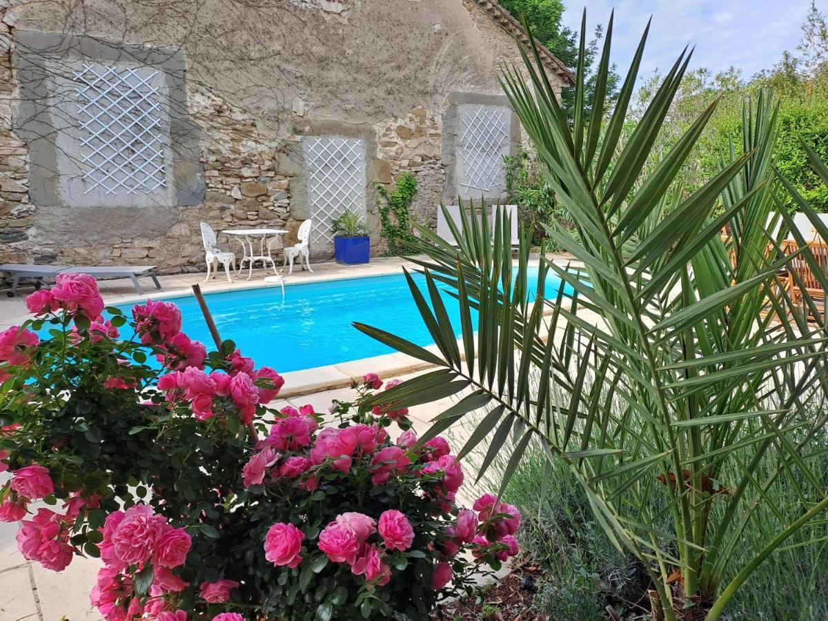 La Maisonnette Avec Spa Et Piscine Βίλα Sainte-Valière Εξωτερικό φωτογραφία